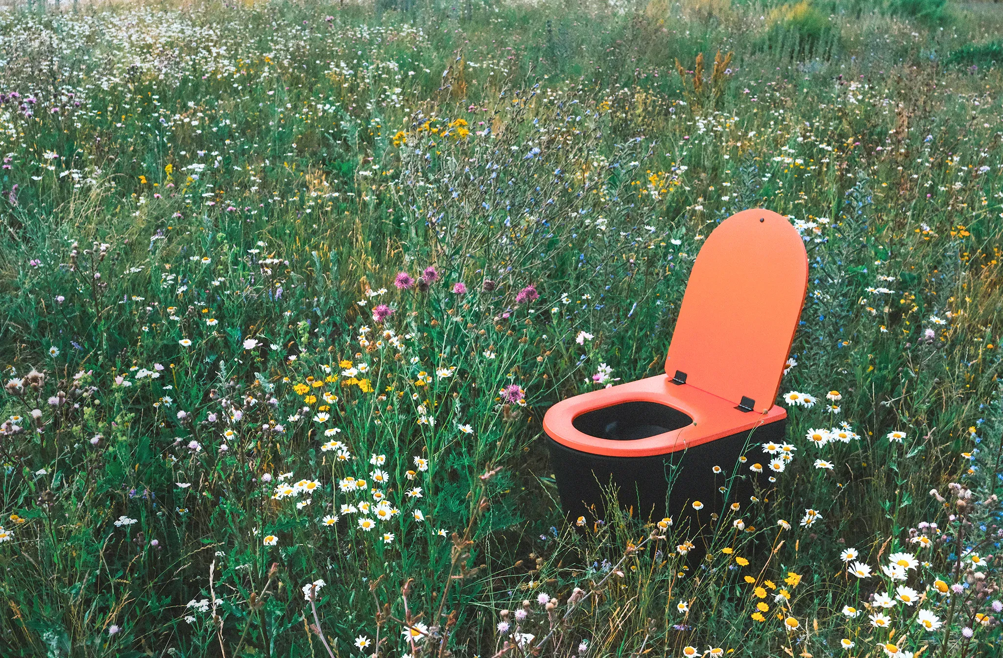 Toilet in the grass